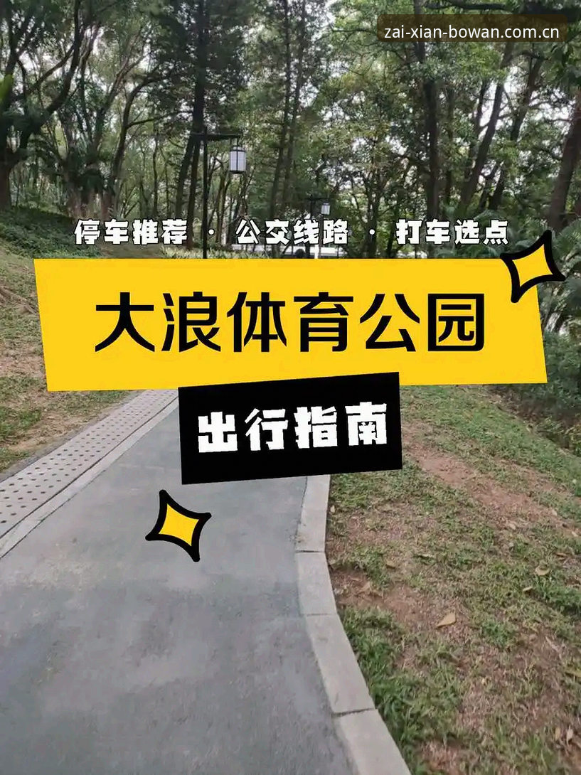 博万体育官方平台手机版深度解析：从下载到使用的完整指南